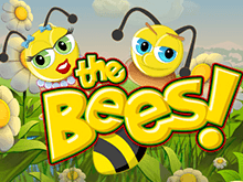 The Bees